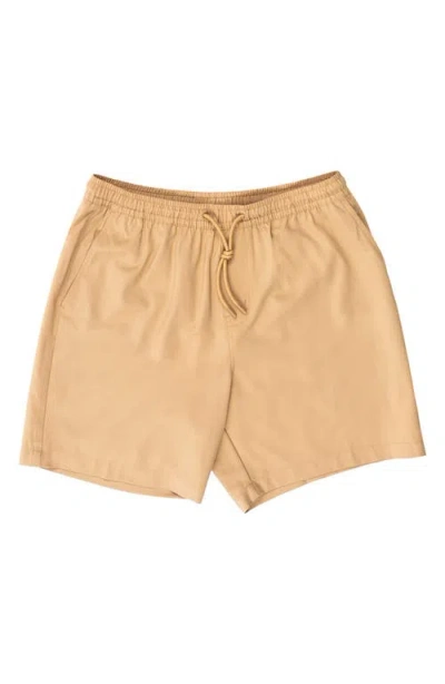 Burnside Hybrid Stretch Shorts In Multi