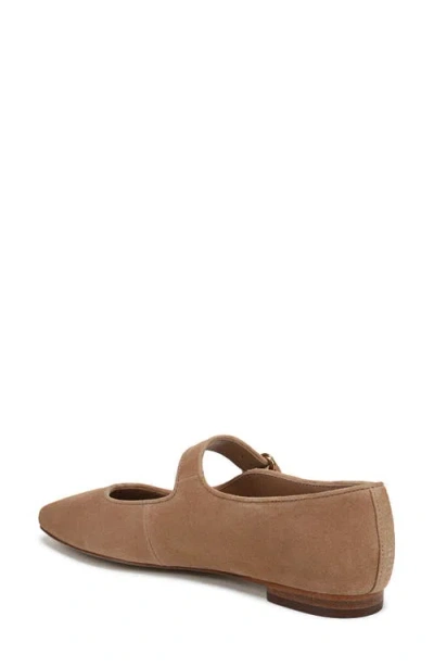 Sam Edelman Michaela Ballet Flats In Multi