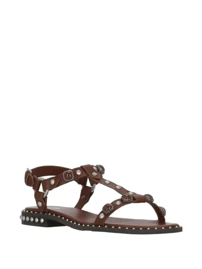 Ash Podium Leather Ankle Strap Studded Sandals In Multi