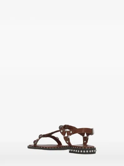 Ash Podium Leather Ankle Strap Studded Sandals In Multi