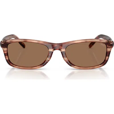 Diesel ® 54mm Rectangular Sunglasses In Brown