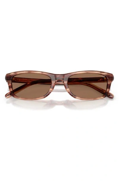 Diesel ® 54mm Rectangular Sunglasses In Brown
