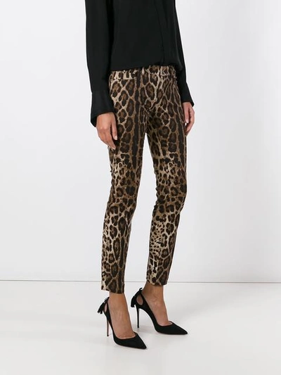 Shop Dolce & Gabbana Leopard Print Trousers In Brown