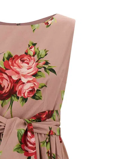 Dolce & Gabbana Abito Midi In Cotone Rosa Con Stampa Fiori Dolce E Gabbana In Brown