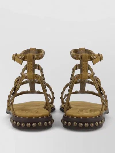Ash Sandals Ankle Strap Flat Sole Studs In Brown