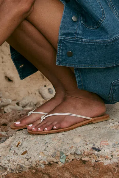 Maria Farro Lepto Flip Flops In Brown