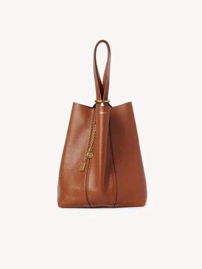 Chloé Spin Ring-detail Shoulder Bag In Brown