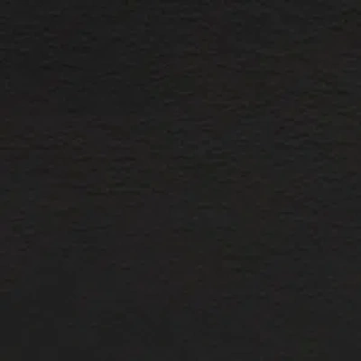 Aldo Beidlemannv In Black