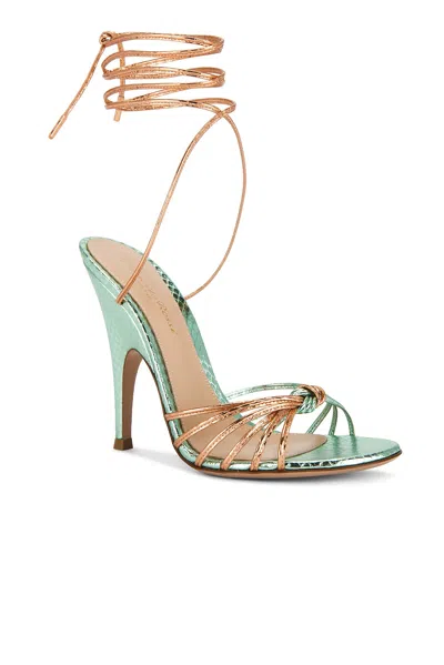 Gianvito Rossi Strappy Sandal In Green