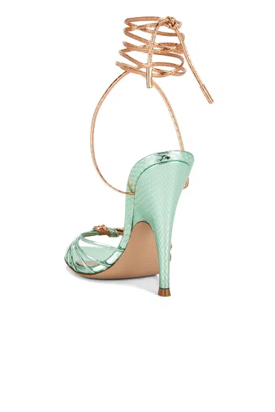 Gianvito Rossi Strappy Sandal In Green