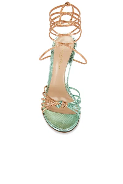 Gianvito Rossi Strappy Sandal In Green