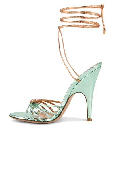 Gianvito Rossi Strappy Sandal In Green