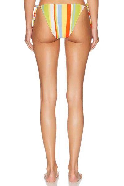 Solid & Striped The Iris Bikini Bottom In Multi