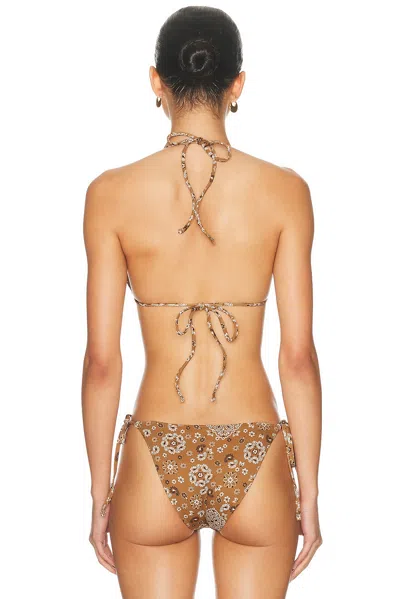 Skims Signature Swim Triangle Bikini Top In Brown