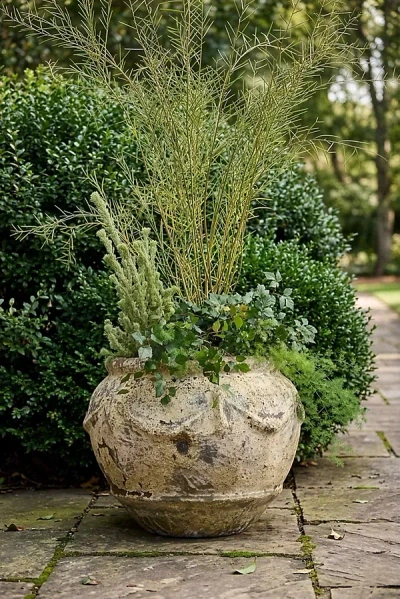 Terrain Barnacle Potpourri Planter In Brown