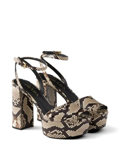 Prada Women's Python-print Ayers Leather Platform Sandals In Neutral