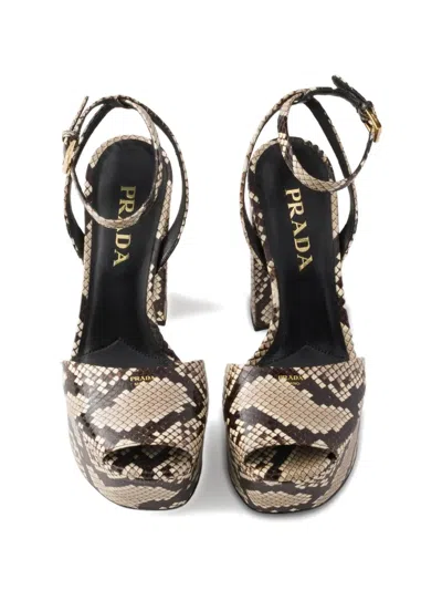 Prada Women's Python-print Ayers Leather Platform Sandals In Neutral