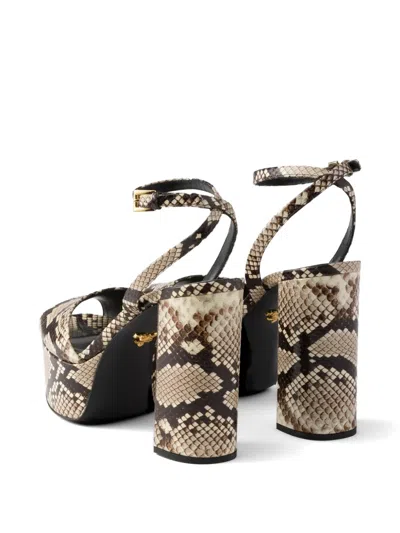 Prada Women's Python-print Ayers Leather Platform Sandals In Neutral