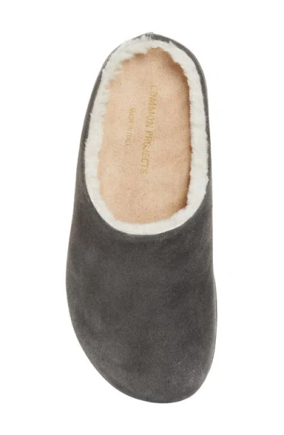 Common Projects Suede & Genuine Shearling Clog In Gray