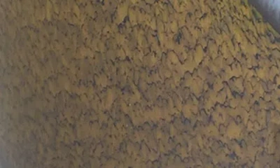 Baobab Collection Stones Agate Multi Candle