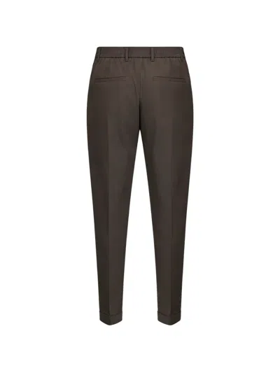 D4.0 Elasticated Pleated Trousers In Brown
