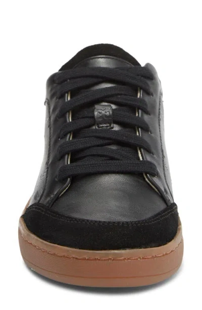 Sam Edelman Josi Sneaker In Multi