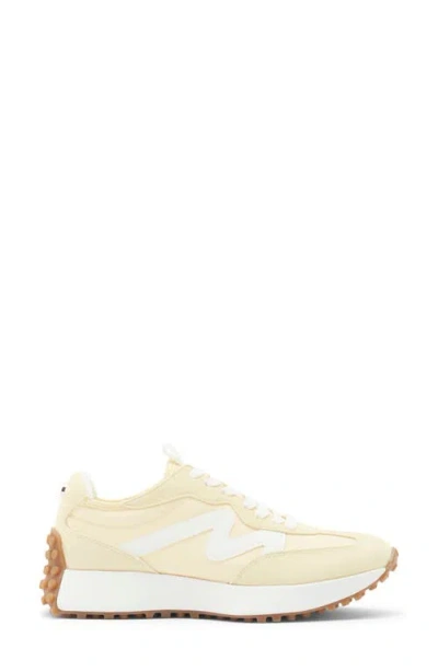 Steve Madden Campo Sneaker In Multi