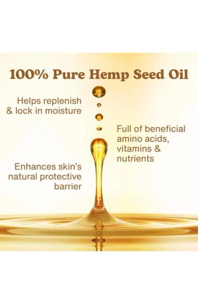 Hempz Mini Hydration Kit In Transparent