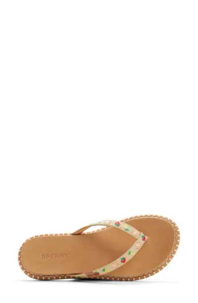 Sperry Isla Flip Flop In Multi