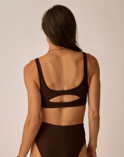 Carve Designs Korbyn Compression Top D-dd Cup In Brown