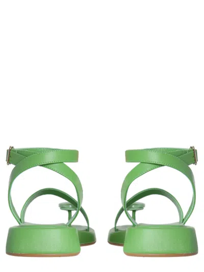 Gia Borghini Green Solid Sandals In Green