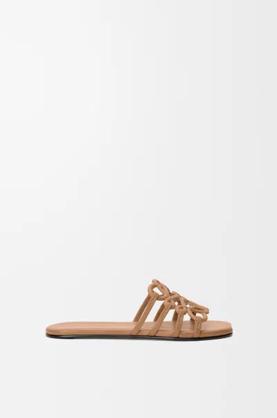 Loewe Petal Anagram Calfskin Strappy Flat Slide In Multi