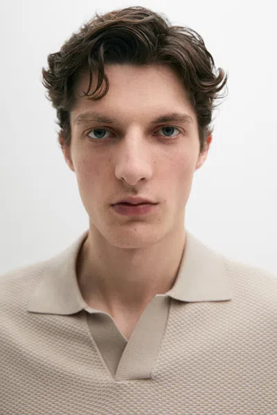 Massimo Dutti Strickpullover Im Polo In Sand