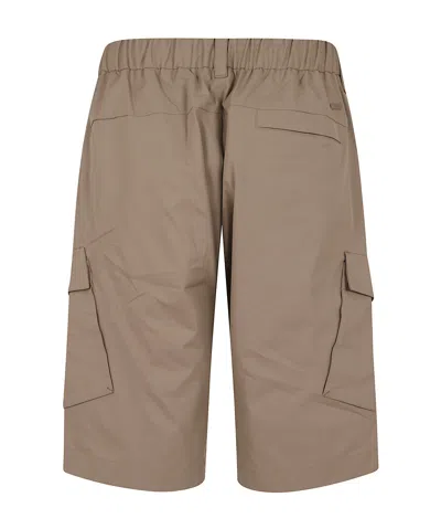 Herno Pleated Cargo Shorts In Brown