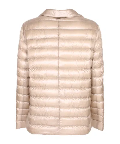 Herno Padded Down Jacket In Neutral