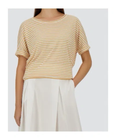 Herno Striped Lyocell Blend T-shirt In Brown