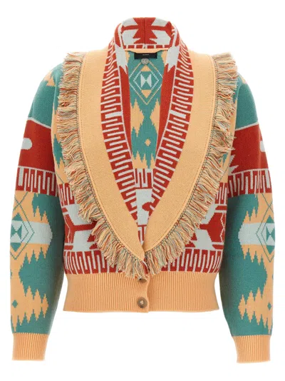 Alanui Thistles Knitwear Shawl Collar Fringe In Multi