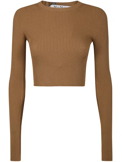 Max Mara Arcella123 Basic Sweater In Brown