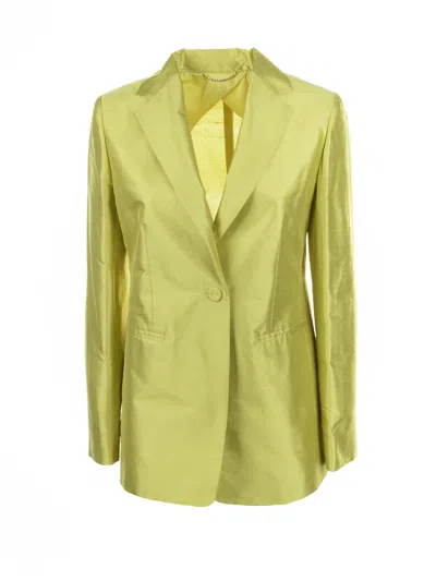 Max Mara Studio Single-breasted Cedar Silk Jacket In Green