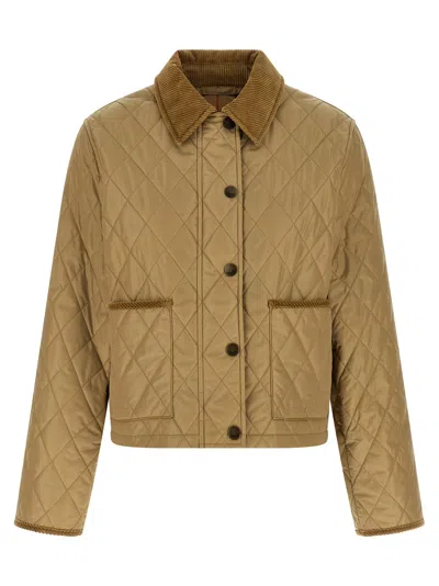 Burberry Tal Jacket In Brown