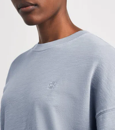 Éterne Cotton Oversized Sweatshirt In Gray