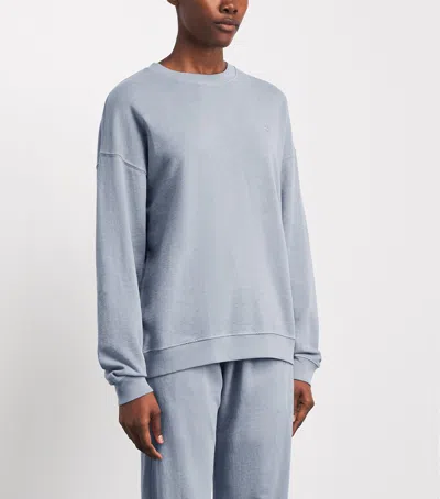 Éterne Cotton Oversized Sweatshirt In Gray