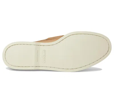 Sperry Ao 2 Eye In Multi
