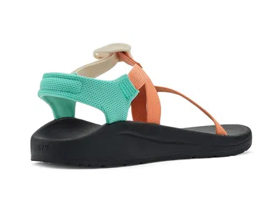 Chaco Cushz In Multi