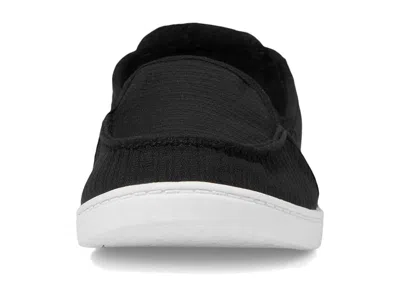 Roxy Minnow Vii In Black