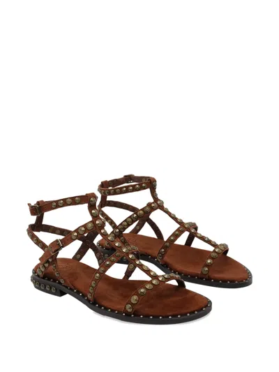 Ash Precious Stud-embellished Sandals In Brown