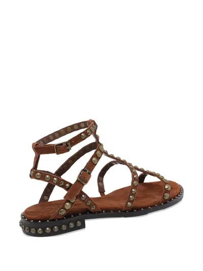 Ash Precious Stud-embellished Sandals In Brown