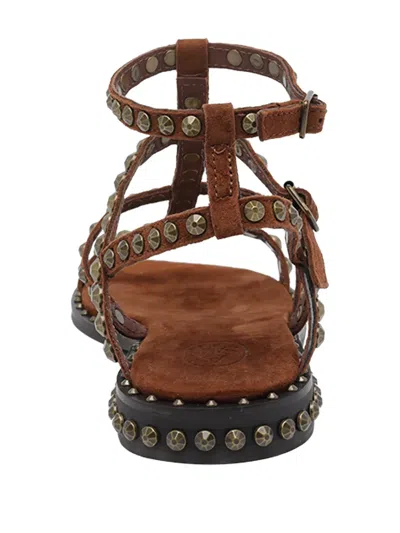 Ash Precious Stud-embellished Sandals In Brown