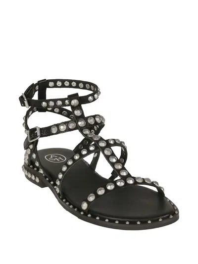 Ash Precious Stud-embellished Cage Sandals In Black