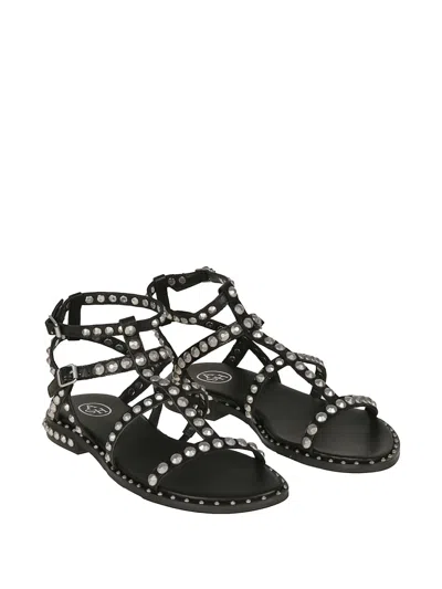 Ash Precious Stud-embellished Cage Sandals In Black
